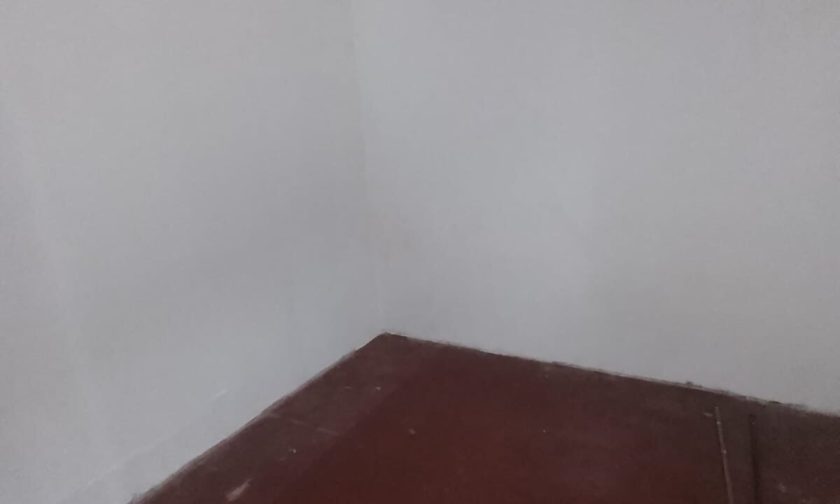 WhatsApp Image 2024-12-03 at 10.49.31